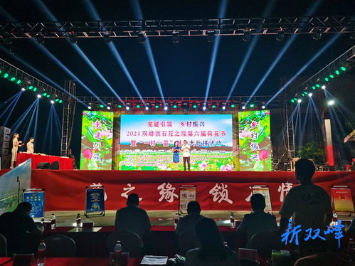 黨建引領 鄉村振興——2024雙峰鎖石花之緣第六屆荷花節暨‘一村一品’魅力大比拼活動成功舉辦